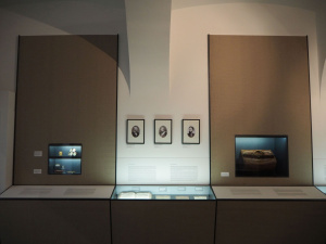 Exhibition view (c) Stephanie Letofsky, Sigmund Freud Privatstiftung