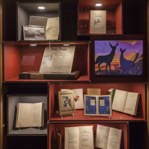 Ausstellungsschrank Felix Salten, Ausschnitt (c) Oliver Ottenschlaeger.jpg